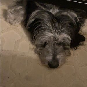 Meet your Posher, Jack